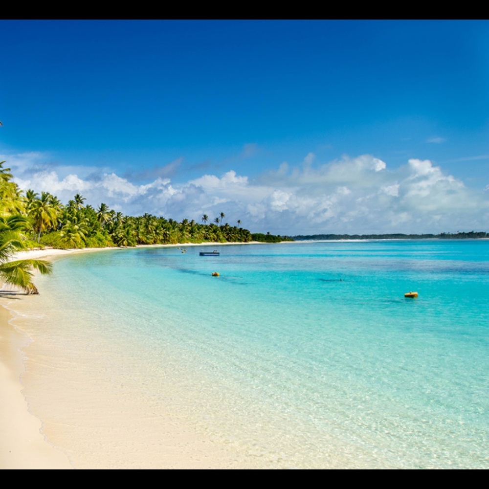 Meet your Posher, Jake